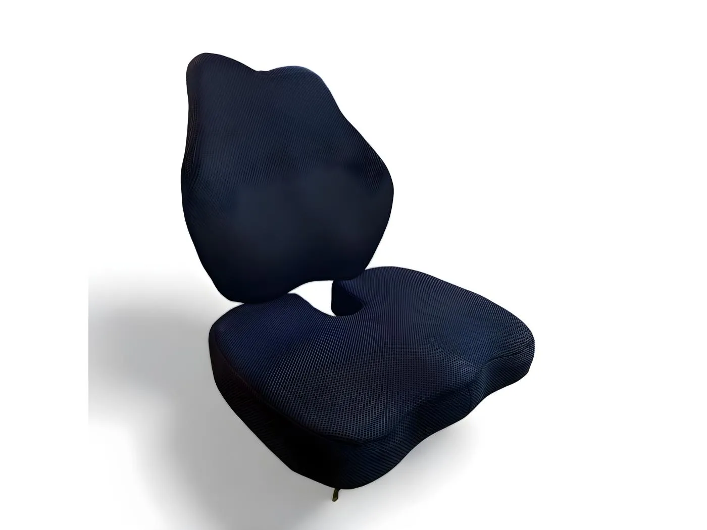 Set aus Gesäßkissen und verlängertem Lendenstützkissen INPHYSIO