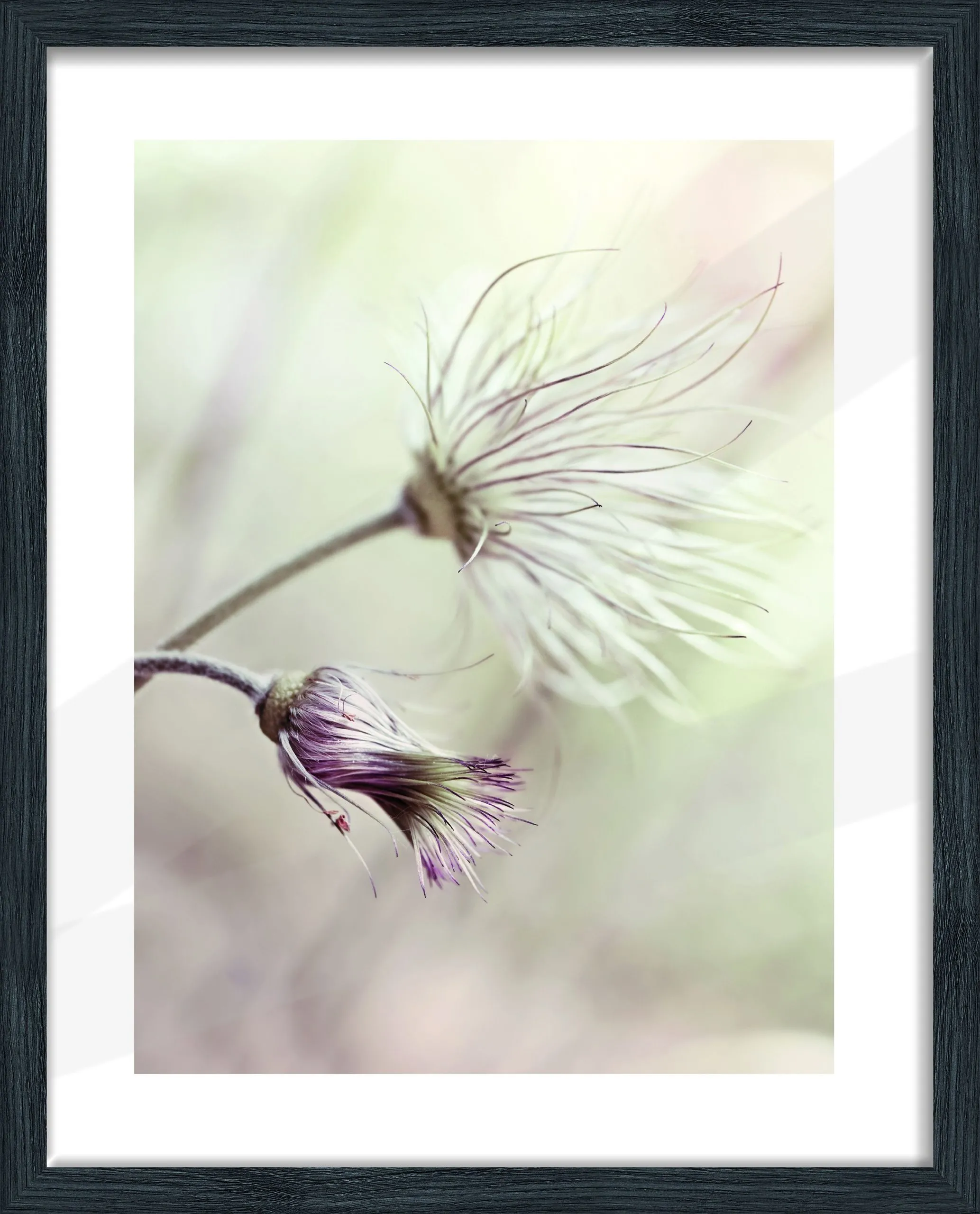 Bilderrahmen AROSA schwarz 148757