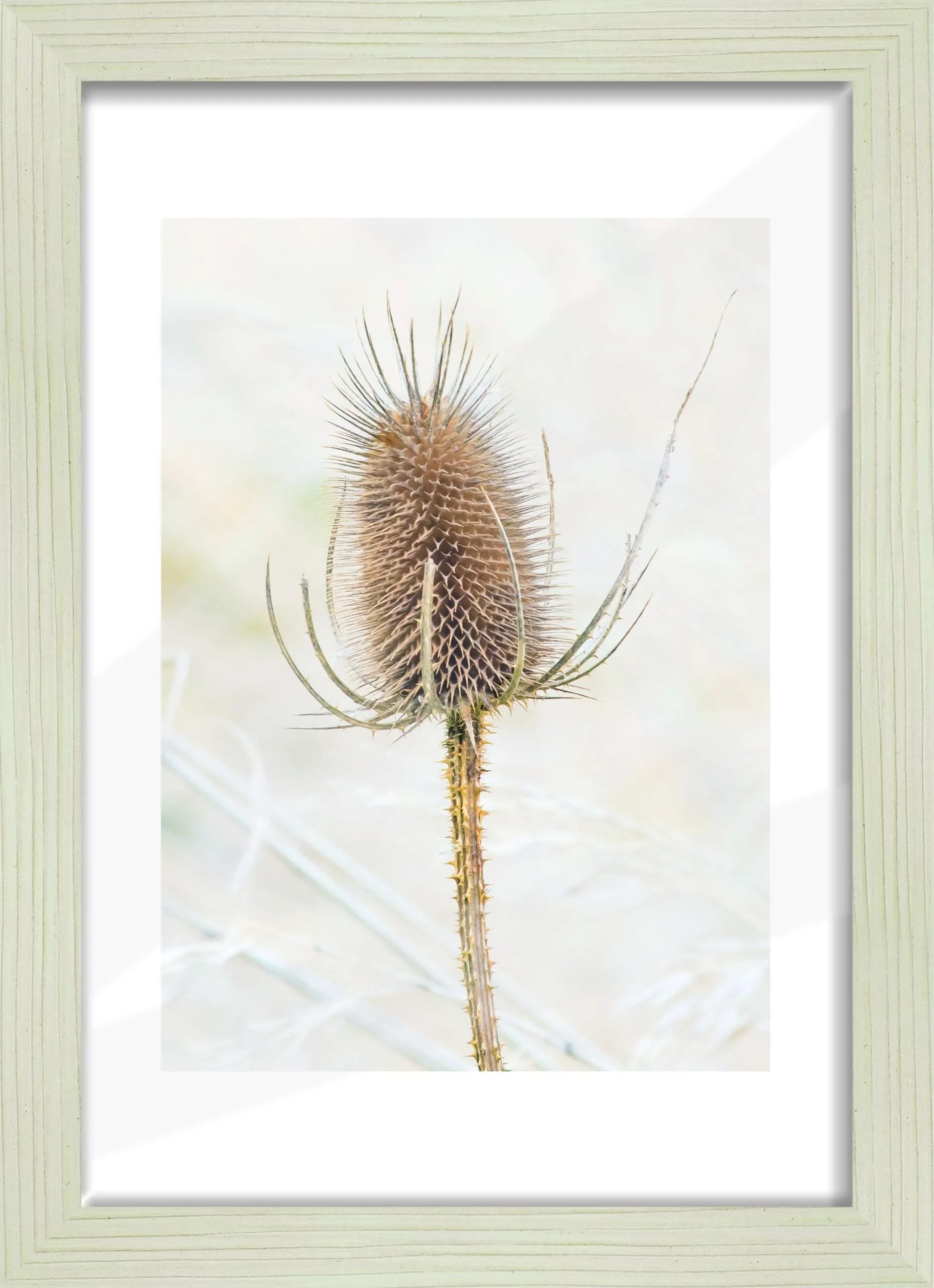 Bilderrahmen AROSA weiß 148770