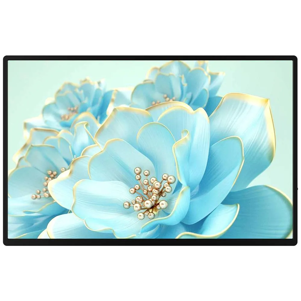 Raysgem Rc185 Ptm Touchscreen Monitor Eek: E A G 47 Cm 18.5 Zoll Defektware D-Ware