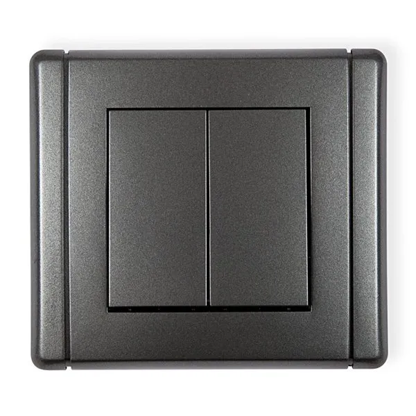 Bipolarer NO- Schalter (getrennte Stromversorgung) graphit 11FWP-44.2