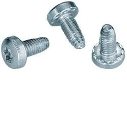 Dünnblechschraube M6x13 Torx T30 (50 Stück) Hager FZ413XE