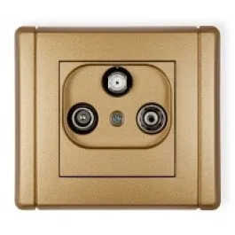 Teilnehmeranschluss RTV SAT Anschluss Multimedia-Endanschluss (Internet) gold 8FGM