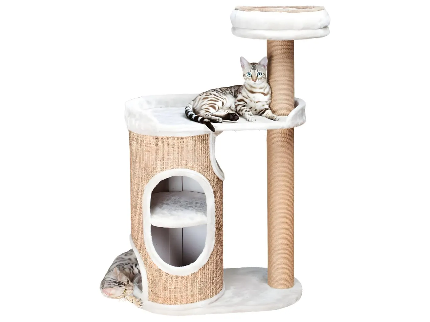 Kratzbaum Falco Hellgrau und Braun