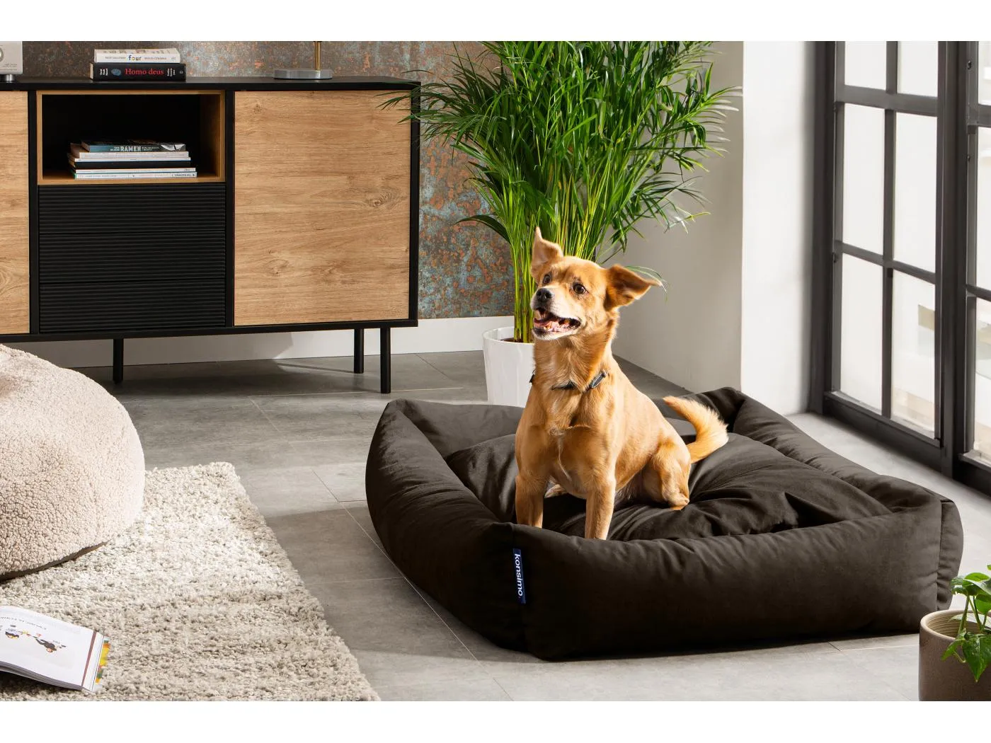 Hundebett - Braun - CANINI